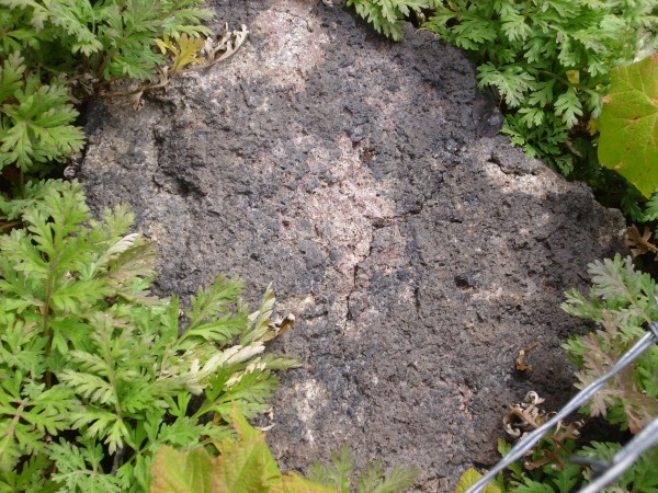 Fire-scorched boulder