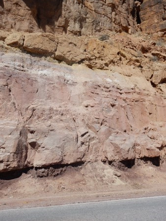 lower Chinle group
