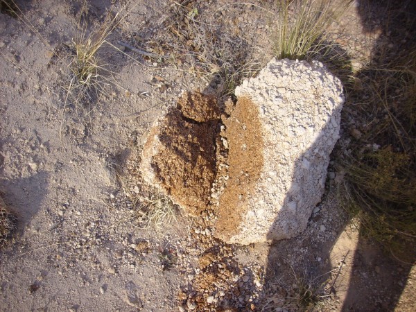 Cerro Toledo pumice