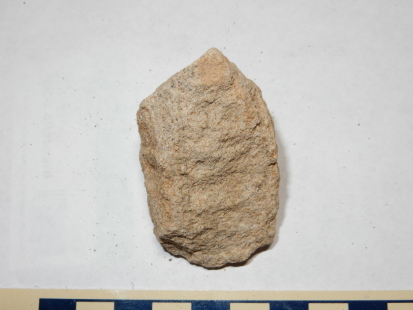 Chamita Formation