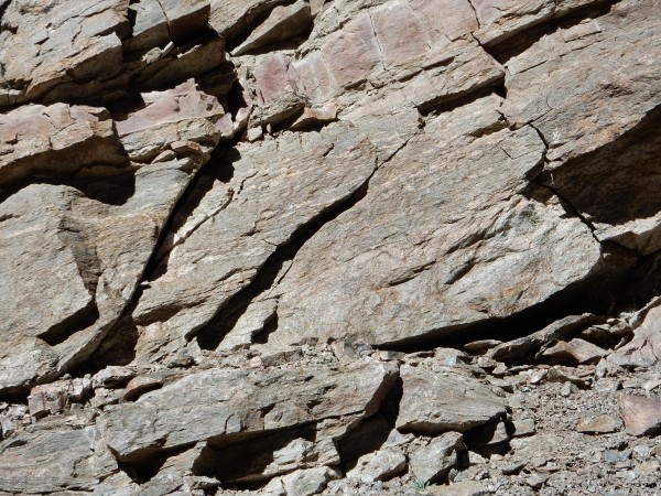 Migmatite